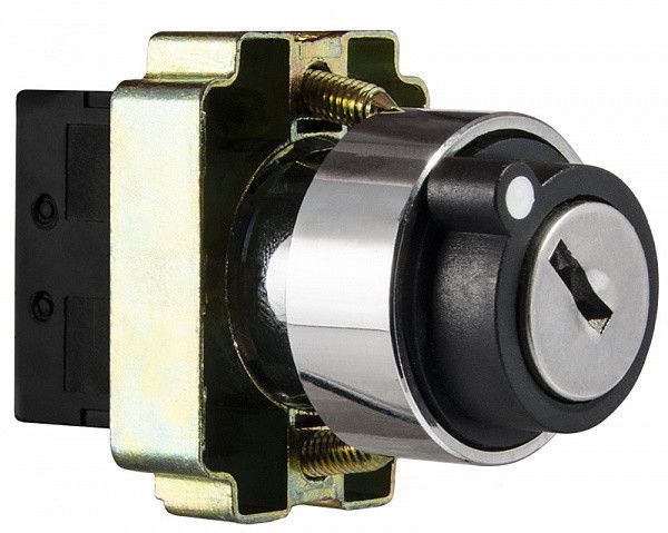 Кнопка поворотная с ключом на 2 позиции XB2-BG41 АСКО-УКРЕМ A0140010011 A0140010011 фото