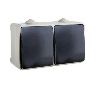 Двойной выключатель ВС20-2В, 250В, 16А, IP54, УФ-защита ElectrО VS202V1654 для управления освещением VS202V1654 фото