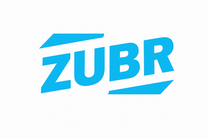 Надійний захист вашої техніки: реле контролю напруги ZUBR фото